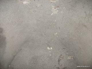 rritta di Ognina-16-09-2014 14-46-46